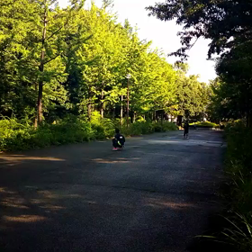 ８月１日 記録会⑧の画像