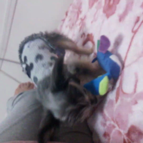 隠し撮り…の画像