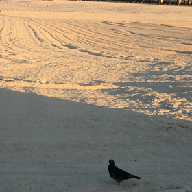 気まぐれマヤ暦　4／29   水　K31の画像