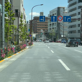 いつか来た道の画像