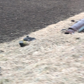 本日定休日ですの画像