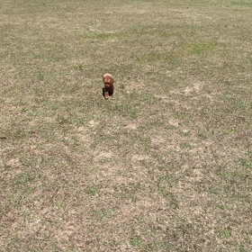 祝╰(*´︶`*)╯2歳の画像