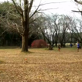 400mインターバル中間点④の画像