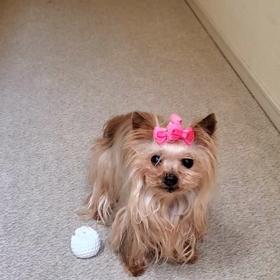 ライちゃん！笑の画像