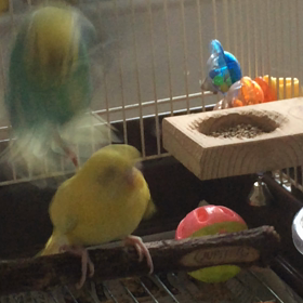 なにするんだよー 物語の画像