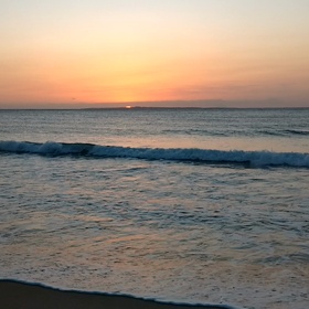 癒しの時間の画像