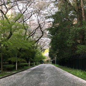 ちなみにの画像