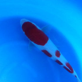 到着～♪の画像