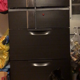 よし子のブーム(☆∀☆)の画像