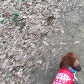 ３３１＄の巻の画像