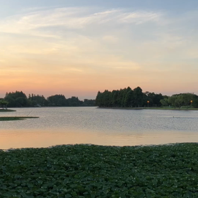 遠くの皆様。の画像