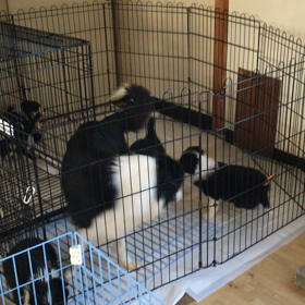 元赤ちゃんの画像