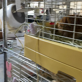 あけましておめでとうございますの画像