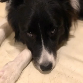 ギリギリセーフ？メリークリスマスの画像