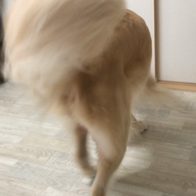 繰り返していますの画像