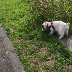 なんだろう・・・⁉️の画像