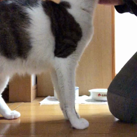 ジム活からコロナ陽性者3回目ファイザー接種…デールおくす。の画像