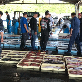 空前絶後！鯛が豊漁！の画像