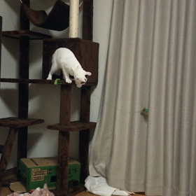 ひとり遊びの画像