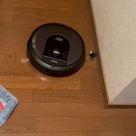 ついに買いましたーの画像