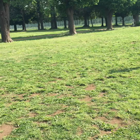 1000ｍ動画③の画像