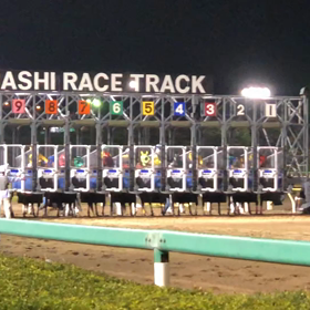 12レースのスタートの画像