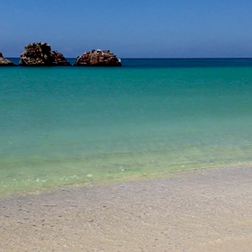 コロナに感染？？？の画像