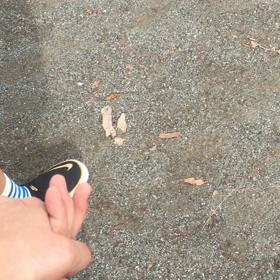 ☆新学期スタート☆の画像