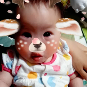 バンビ♪の画像