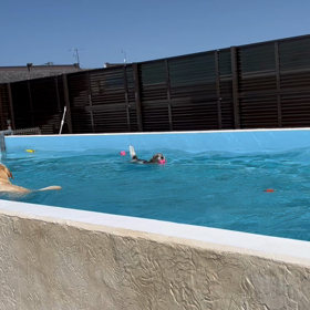 泳いだ！の画像