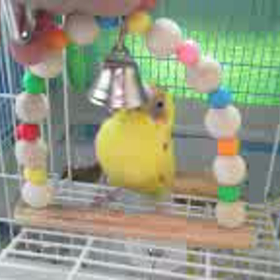 自由時間の画像