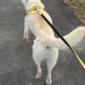 命のバトン受け取りましたの画像