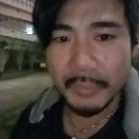 本日は動画での画像