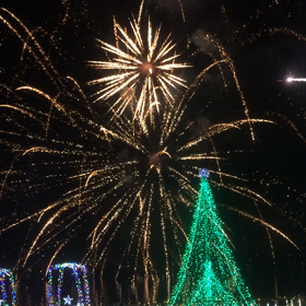 ｢がん｣と診断受けてからの私と これからの私。イルミネーション。の画像