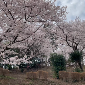ウキウキ〜の画像