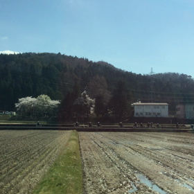 少年よ大志を抱けの画像