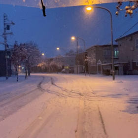 朝起きたら雪積もってた。の画像