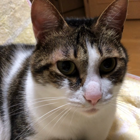 保育園　新学期に困る事！普通のデール。の画像