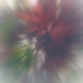 海の中の画像