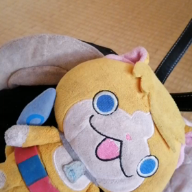 今日は清掃デーの画像