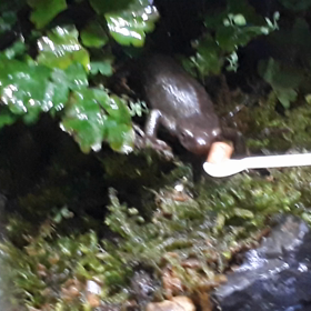 マドラーで♥️の画像