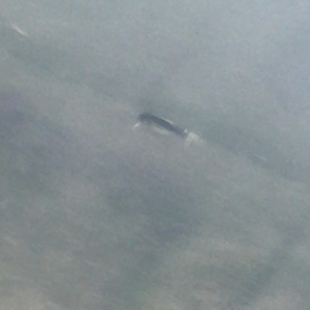 ついでに動画の画像