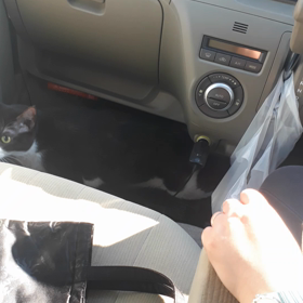 大冒険の話の画像