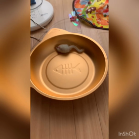 腰椎分離症  その後の画像