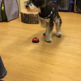 鼻部はカットしましたf^_^;の画像