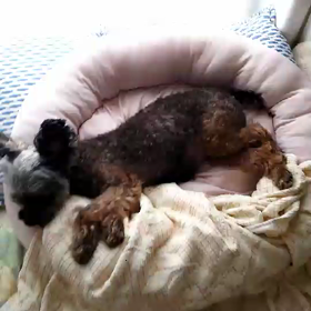 ”耳、毎日触ってる？？”の画像