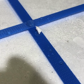 虫だと思った件の画像