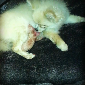 産まれたよ。の画像