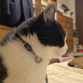 父ちゃん、早く遊ぼ！の画像