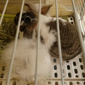 踏んでますよね。の画像